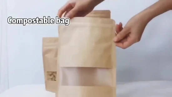 Papier kraft à impression personnalisée Tenez-vous la poche de poudre de protéine de sac avec la tirette et la fenêtre claire pour l'emballage de 500g